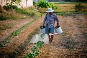 Averbação de Tempo Rural para Aposentadoria por Tempo de Contribuição